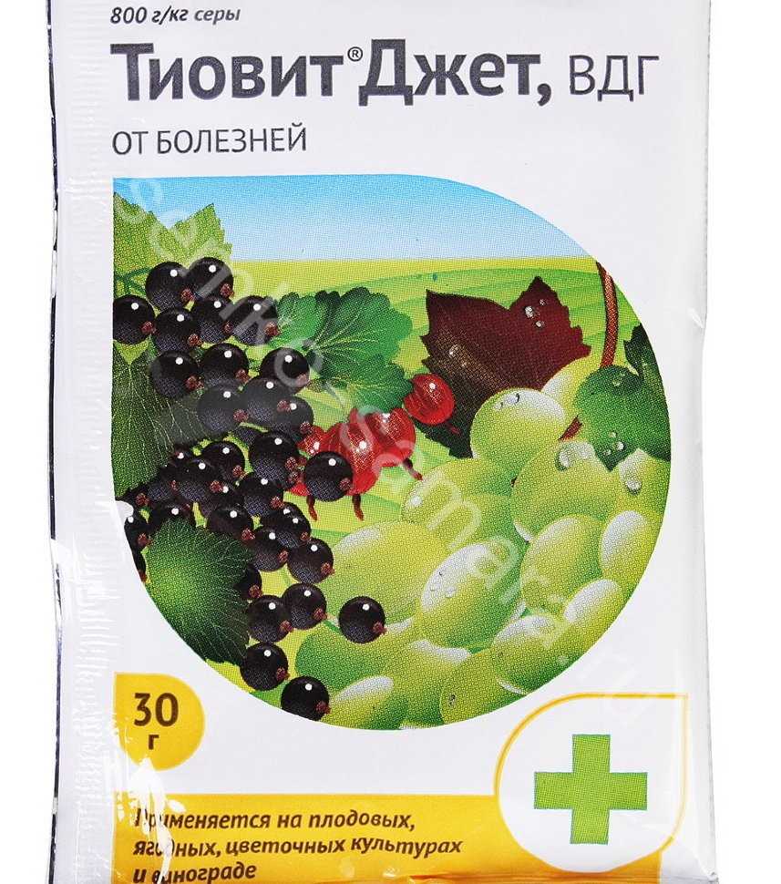 Фунгицид тиовит джет: описание, инструкция по применению и отзывы садоводов