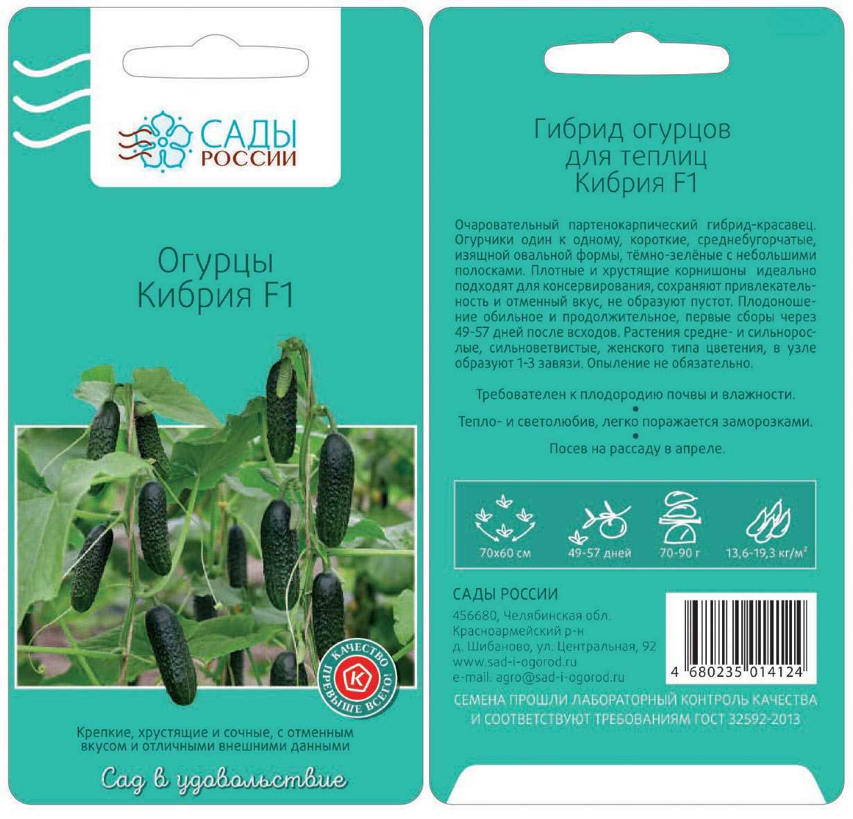 Огурец кибрия f1: описание и характеристика сорта, болезни и вредители