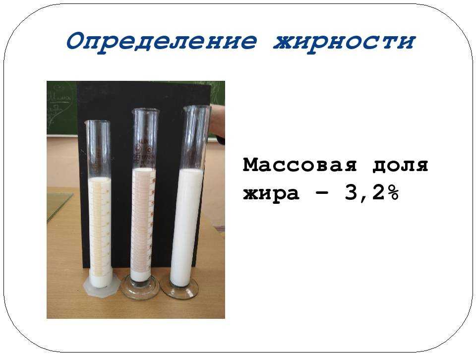 Жирность молока у коровы, а также его состав и плотность