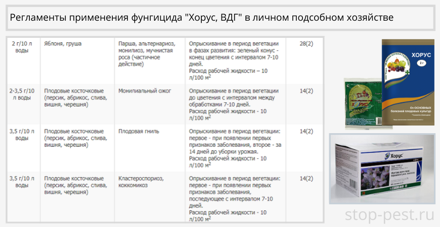 Фунгицид хорус: инструкция по применению, отзывы | огородникам инфо