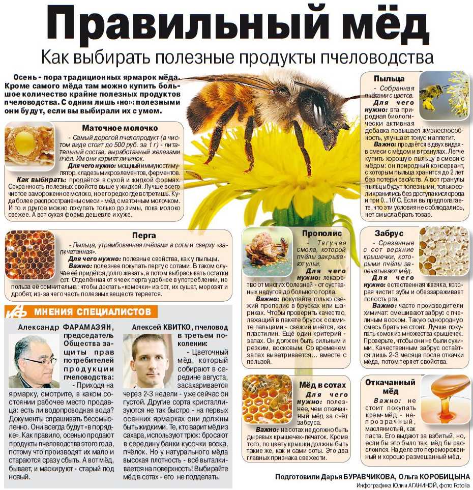 Пчеловодство. не медом единым… — агроxxi
