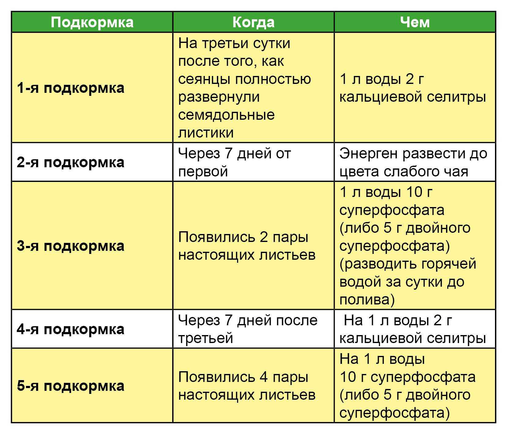 Калийные удобрения для огурцов: виды и нормы их применения
