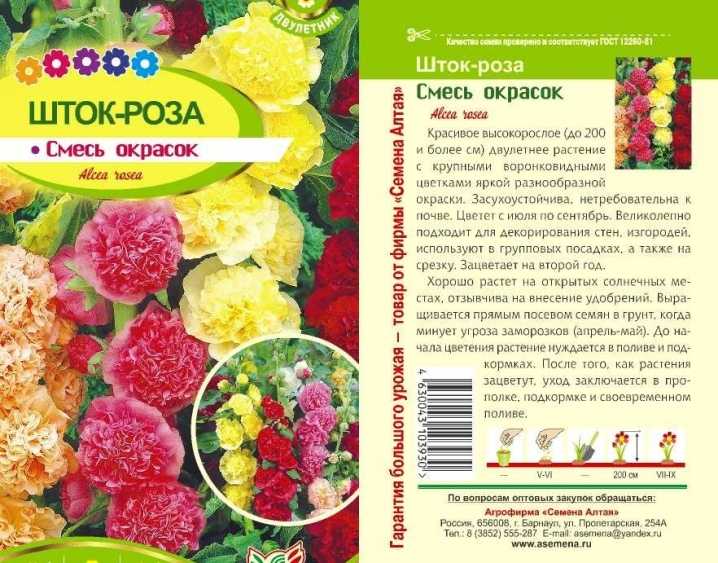 Выращивание рассады мальвы из семян в домашних условиях: посадка семян, уход, пикировка