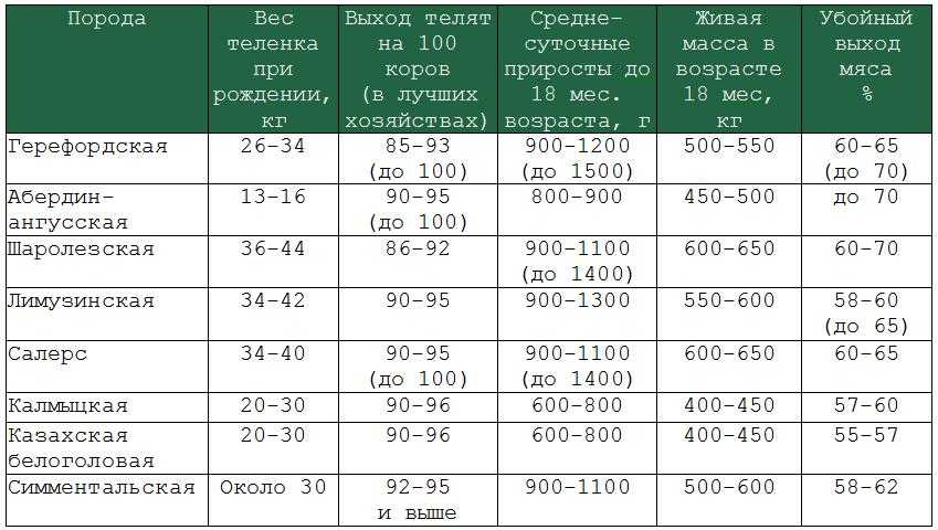 Как узнать вес скота и молодняка крс без весов? таблица веса скота по замерам