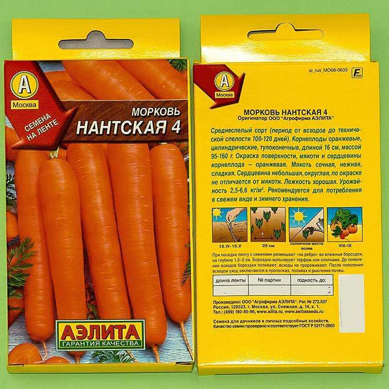 Морковь нантская: описание сорта, отзывы, фото