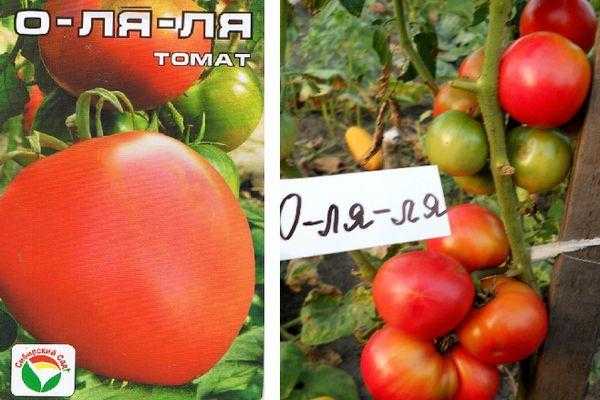 Идеальный выбор для сибирских морозов — томат ля ля фа: характеристика и описание сорта