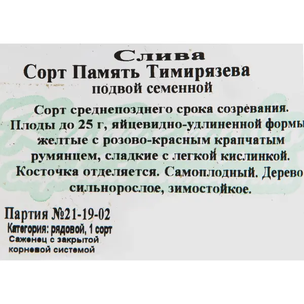 Слива память тимирязева: описание и характеристика сорта, достоинства и недостатки, особенности посадки и ухода + фото и отзывы