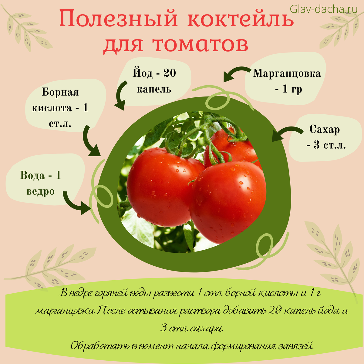 Молочная сыворотка как удобрение для огорода: огурцы, помидоры