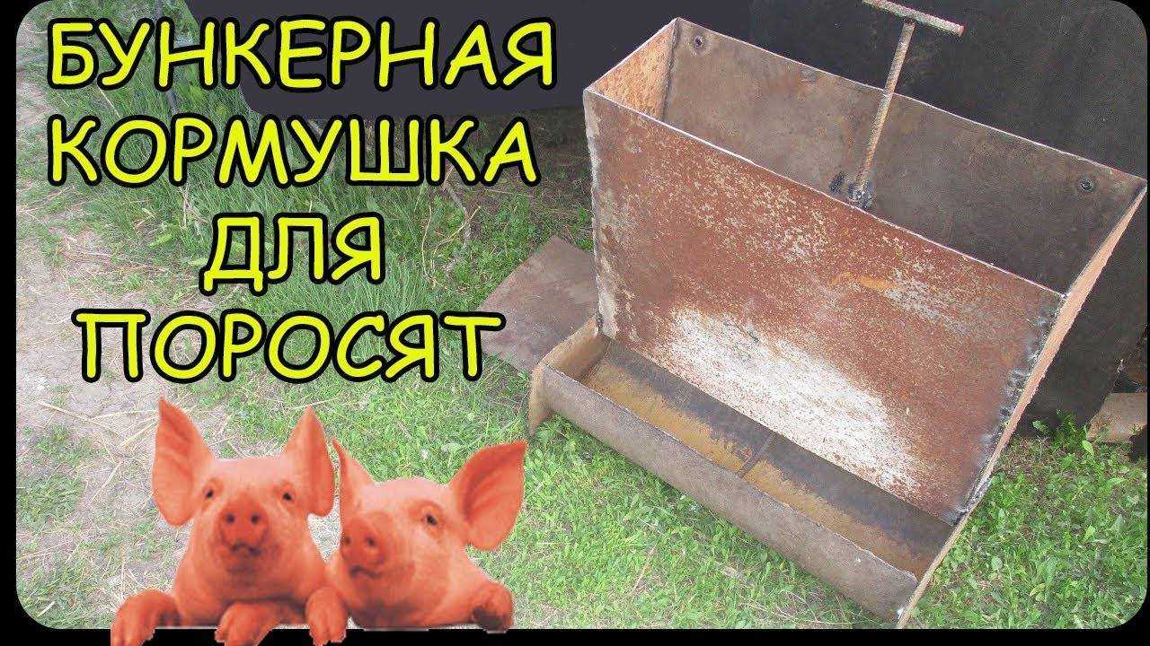 Кормушки для свиней своими руками — варианты изготовления