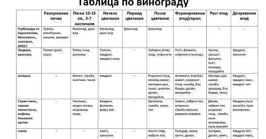 Обработка винограда - от болезней и вредителей, схема защиты после цветения, перед созреванием и сбором урожая