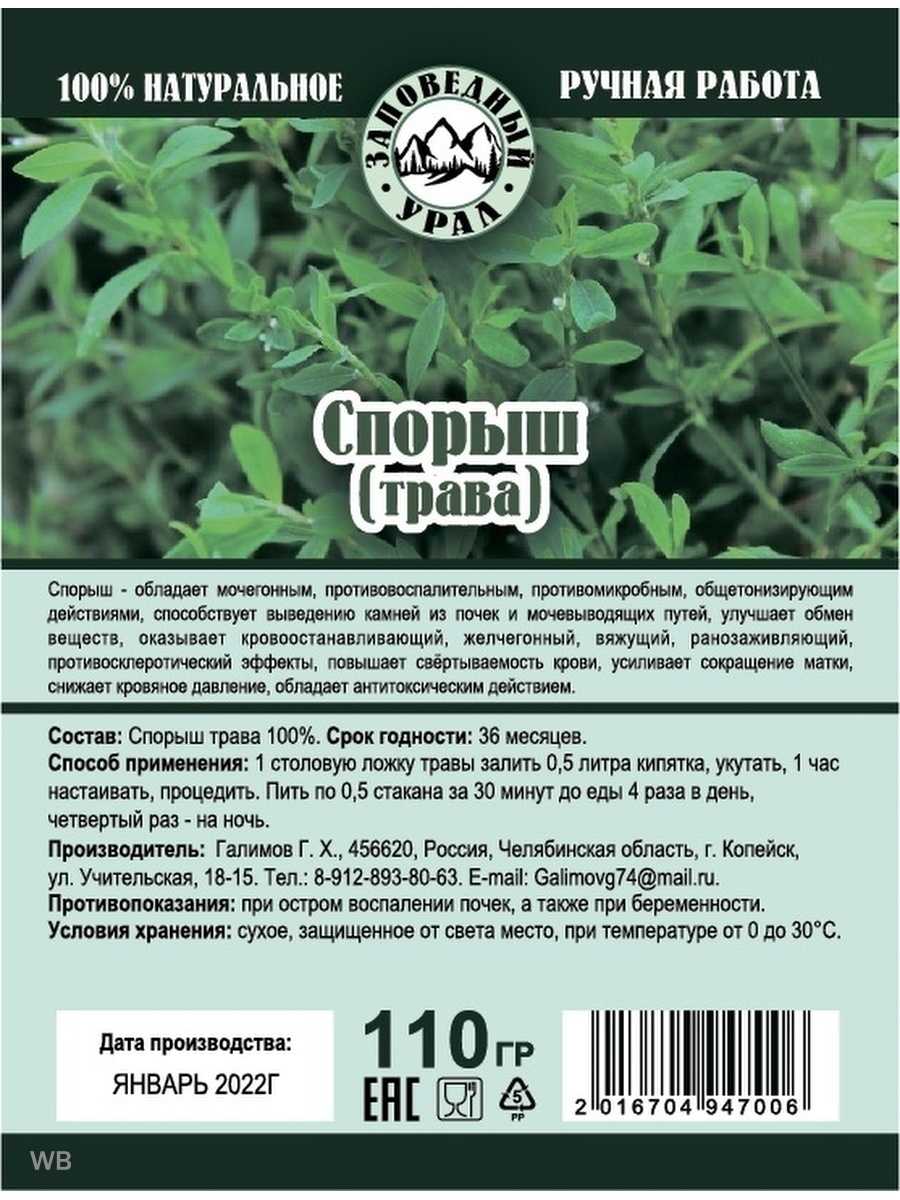 Трава-мурава: описание и распространение культуры + лечебные свойства, применение в медицине, вред и противопоказания