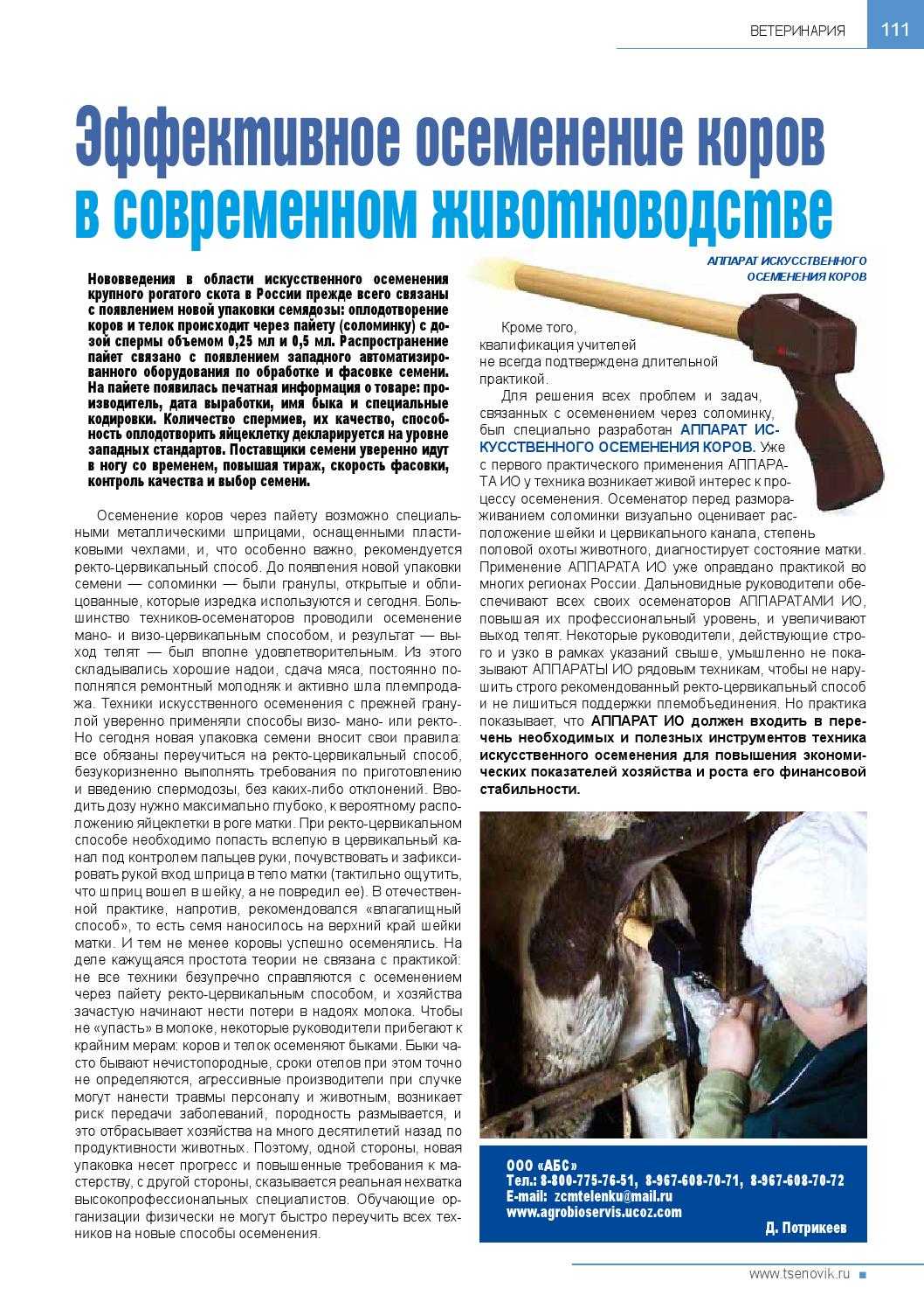Способы и виды искусственного осеменения коров
