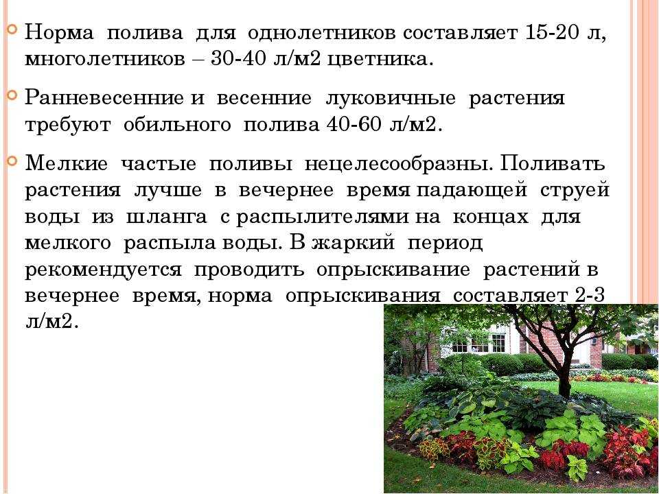 Сад полив деревьев, весна, лето, осень. полив плодовых деревьев, на разных почвах, по возрасту деревьев, нормы и виды полива.. как часто поливать деревья