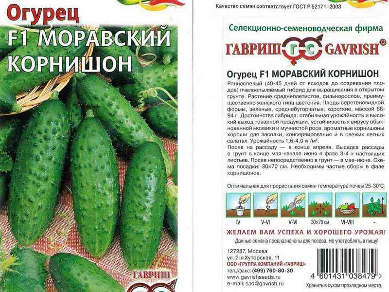 Огурец парижский корнишон: описание и отзывы, фото, посадка и уход