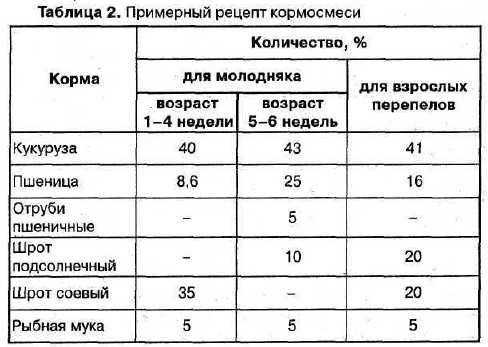 Инкубация перепелиных яиц в домашних условиях: таблица режима температуры, сроки