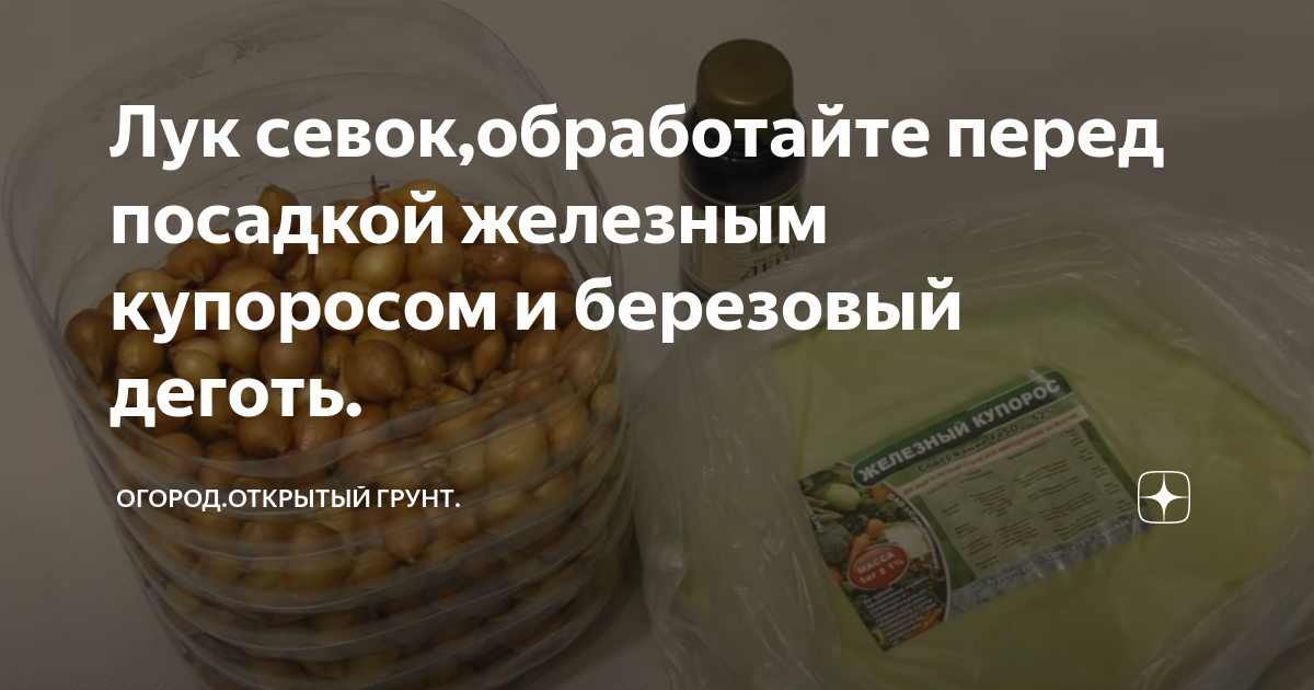 Лук весной чем обработать и как прогреть перед посадкой