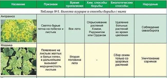 Чем подкормить огурцы, чтобы не желтели листья: народные средства и микроэлементы
