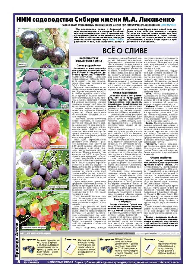 Осенние сорта яблонь для средней полосы россии (поволжья): лучшие виды с названием, описанием и фото, как правильно выбрать, особенности и общие правила ухода selo.guru — интернет портал о сельском хозяйстве
