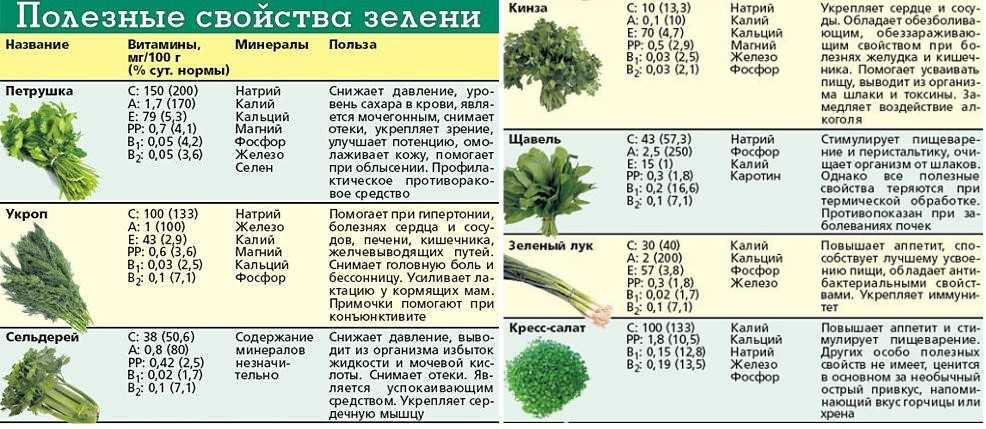 Кориандр — приправа со специфическим ароматом