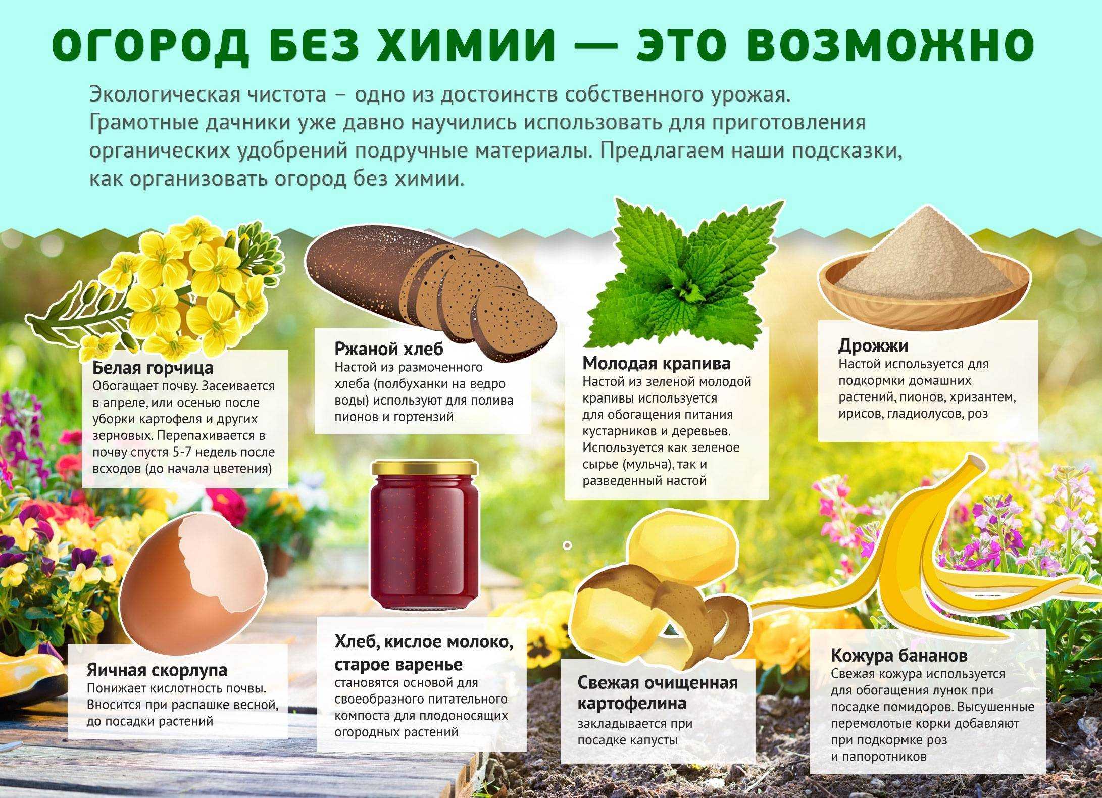 Удобрение садовой и комнатной гортензии