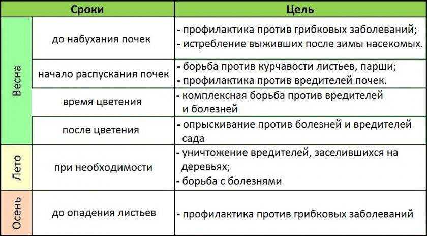 Персик: выращивание из косточки в домашних условиях, особенности ухода для средней полосы и других регионов | (фото & видео) +отзывы