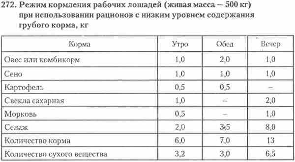 Чем кормить лошадь?