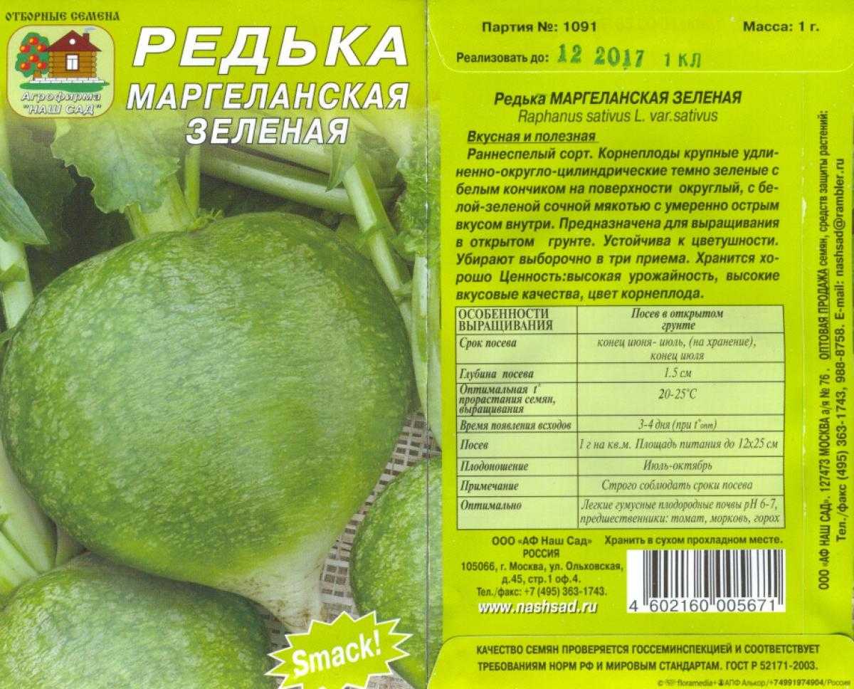 Редька черная и маргеланская - посадка и уход, условия выращивания