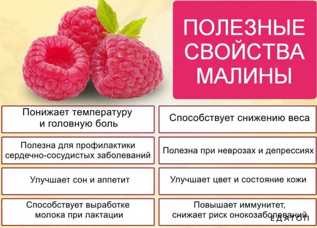 Малина маросейка