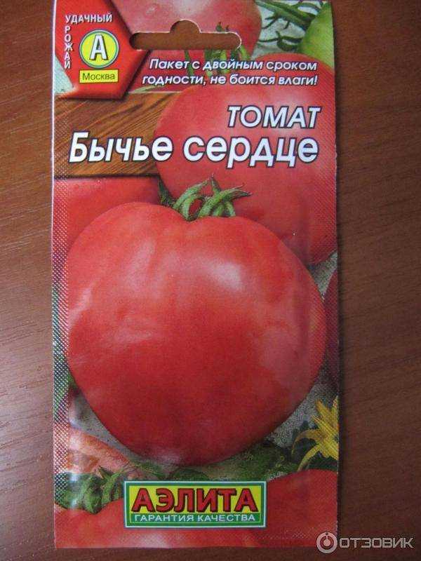 Помидоры бычье сердце: уникальные особенности и технология выращивания