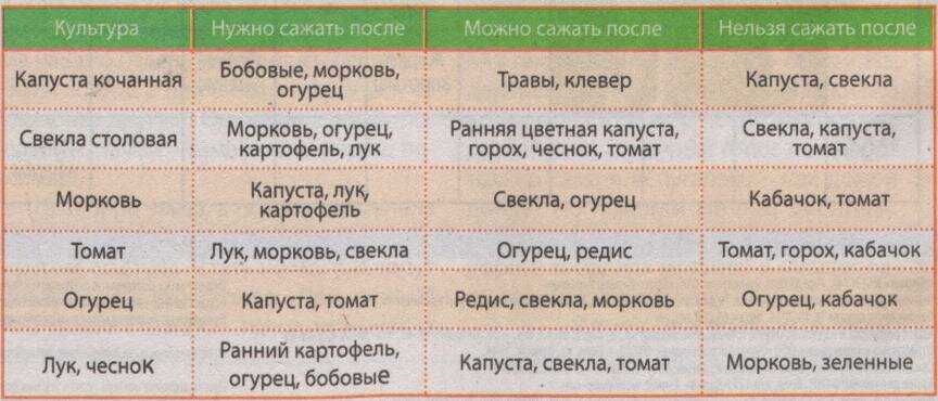 После каких культур можно сажать помидоры ?: открытый грунт, после чего нельзя, предшественники томатов, севооборот | qlumba.com