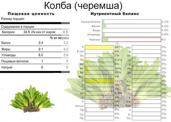Черемша. полезные свойства и противопоказания. где растет, как выглядит. фото