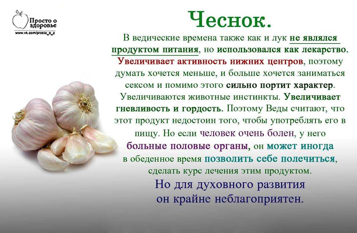 "засланный казачок": как отличить российский чеснок от китайского и чем опасен импортный овощ