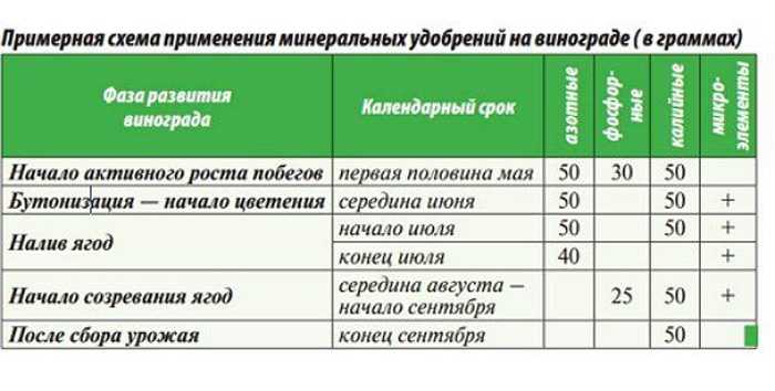Чем подкормить виноград весной для хорошего урожая