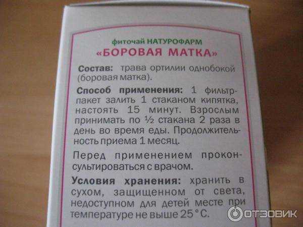 8 способов применения боровой матки, а также показания к использованию