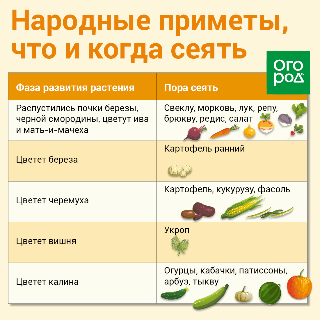 Когда сажать морковь и свеклу весной в 2023 году по лунному календарю: самые благоприятные дни, выбор соседей по грядке и особенности выращивания