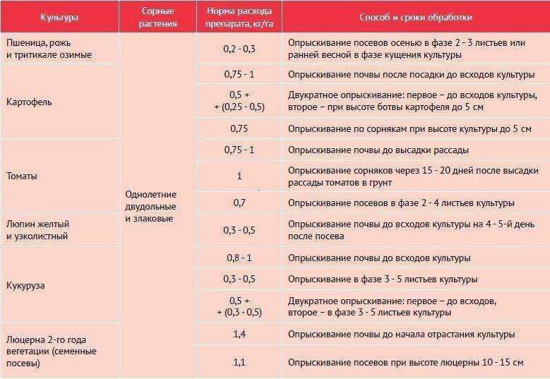 Гербицид по кукурузе: после всходов, назначение и выбор для региона