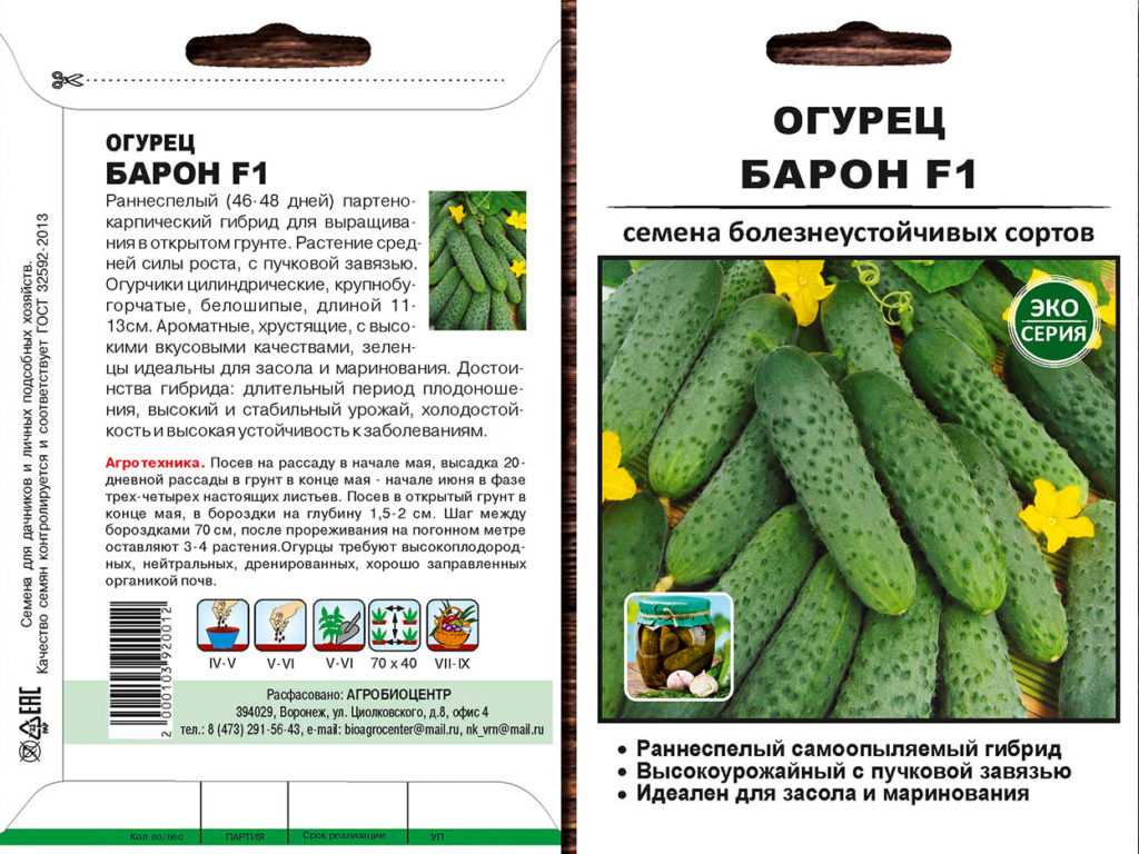 Огурец водолей: описание сорта, фото, отзывы, урожайность, выращивание и уход