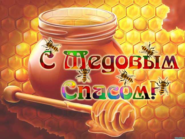 Томат медовый спас: отзывы, фото, урожайность, характеристики и описание сорта, выращивание