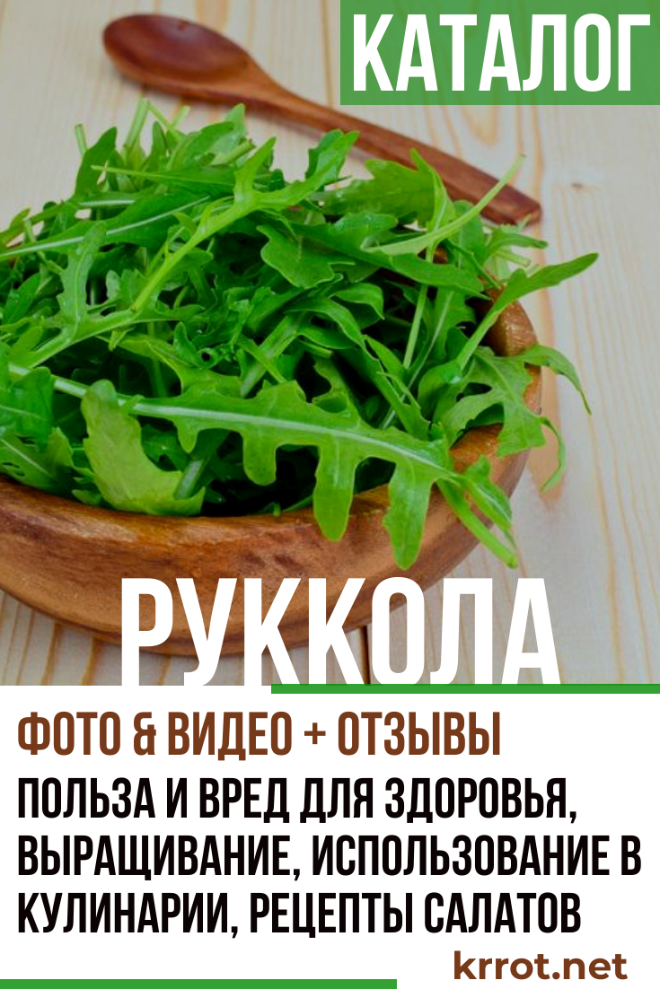 Руккола - сад 6 соток