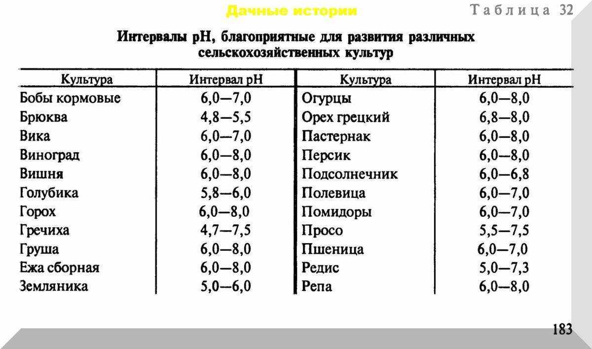 Посадка малины: как правильно посадить летом, схема и пошаговая инструкция, выбор почвы