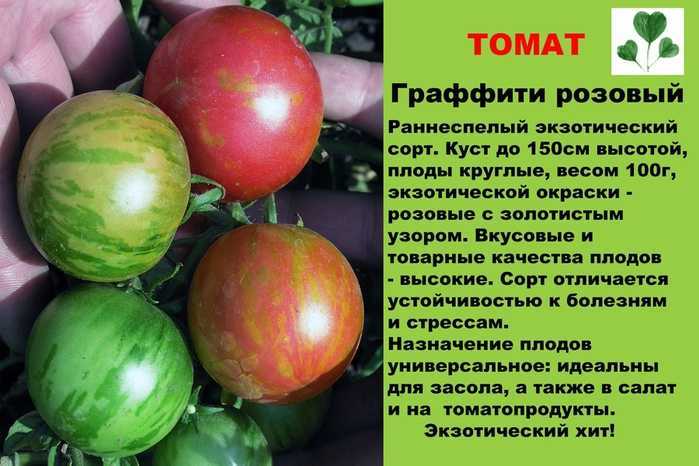 Томат арбузный: характеристика и описание сорта, отзывы, фото, урожайность