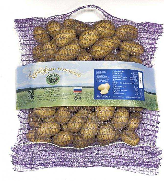 Айл оф Джура: описание сорта картофеля, характеристики, агротехника