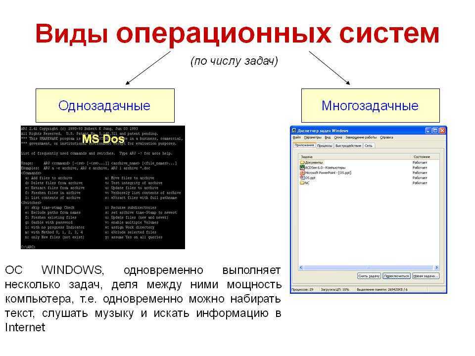 Оса: виды, описание, фото насекомого