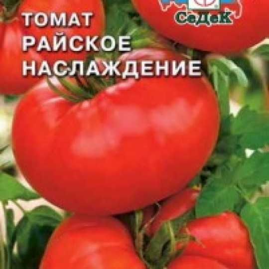 Томат райское наслаждение: отзывы, фото, урожайность, описание и характеристика