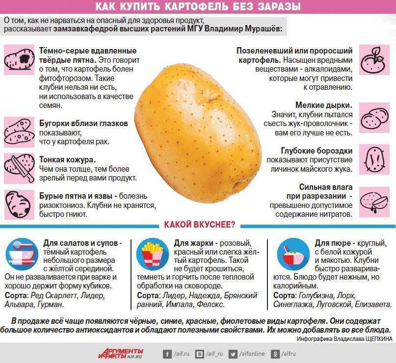 Выращивание картофеля из семян