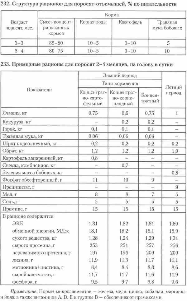 Как и чем кормить свиней? виды кормов, режим питания, фото — ботаничка