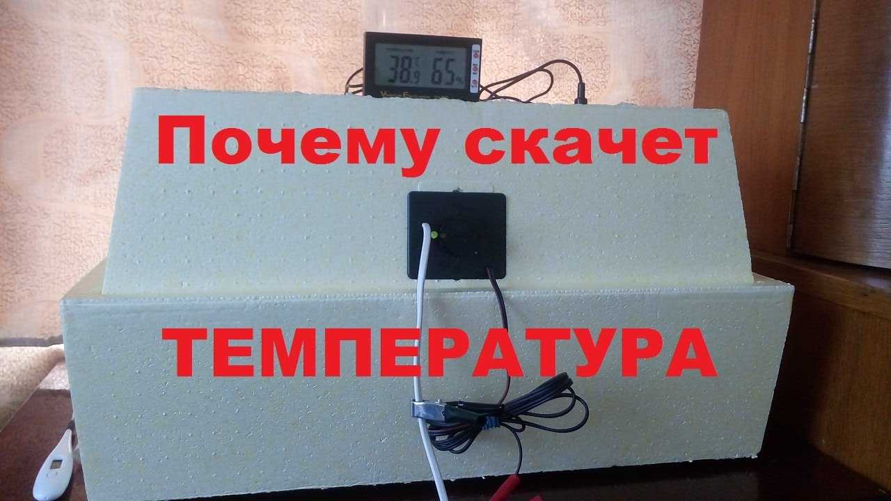 Инкубатор несушка