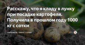 Как прорастить картофель для посадки – 3 быстрых метода