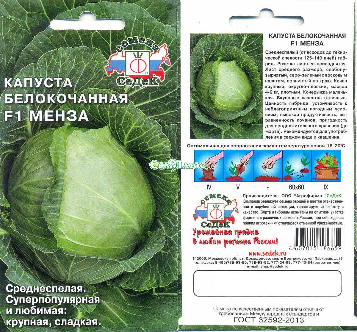 Капуста теща: описание сорта
