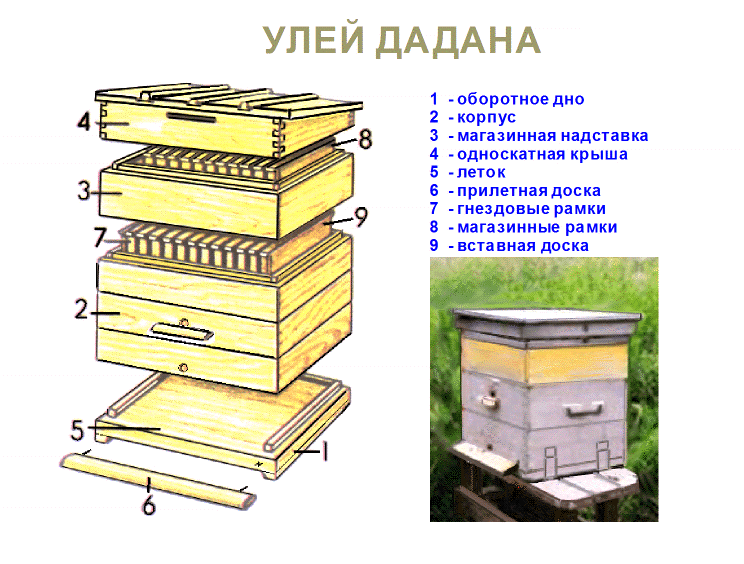 Улей и рамки рута: плюсы, минусы, чертежи, размеры